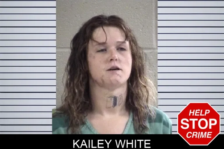 Kailey White mugshot – Whitfield County , Georgia Kailey White