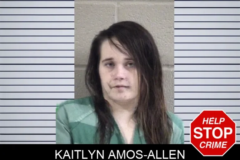 Kaitlyn Amos-Allen