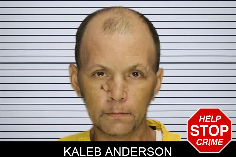 Kaleb Anderson mugshot – Cobb County , Georgia Kaleb Anderson mugshot