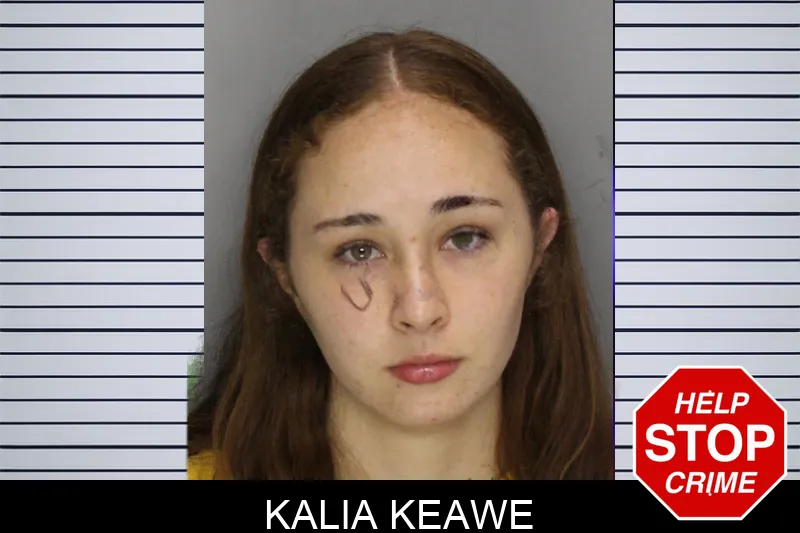 Kalia Keawe mugshot – Cobb County , Georgia Kalia Keawe mugshot