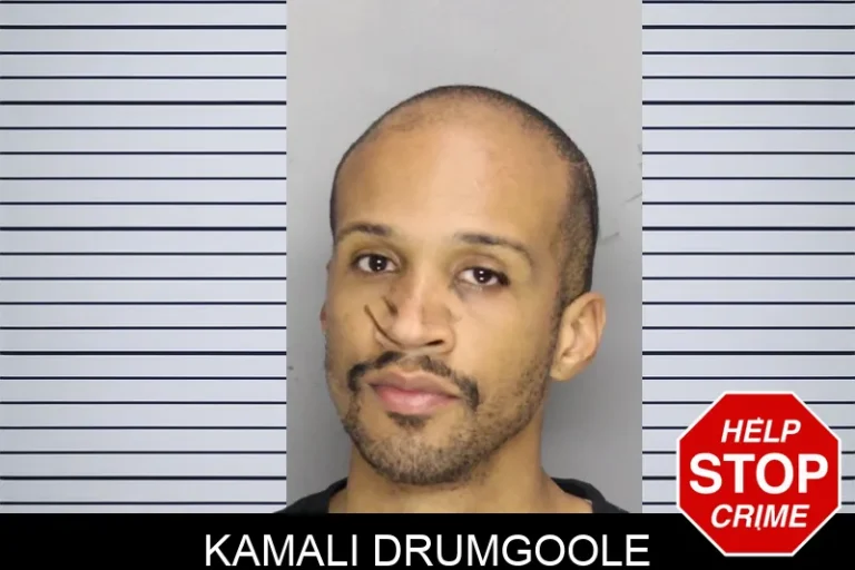 Kamali Drumgoole