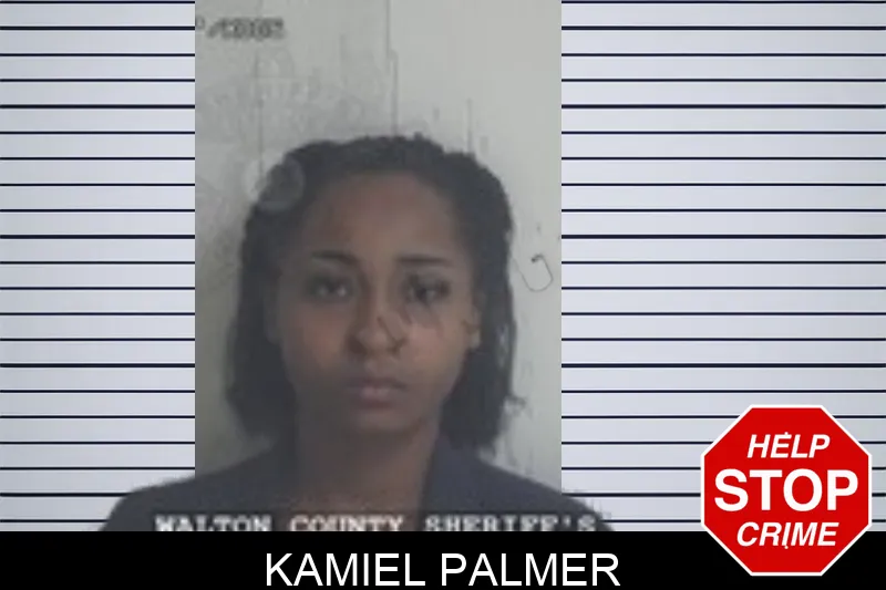 Kamiel Palmer