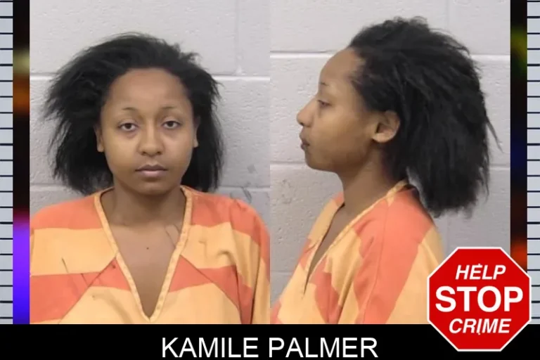 Kamile Palmer