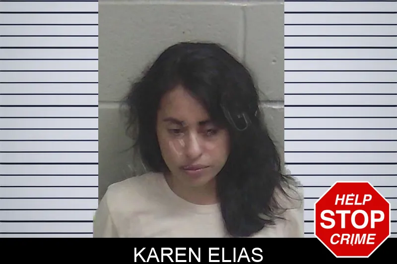 Karen Elias Mugshots
