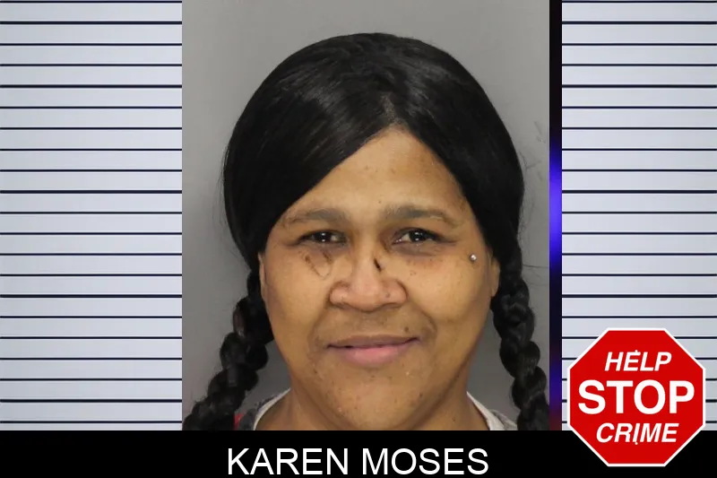 Karen Moses mugshot – Cobb County , Georgia Karen Moses mugshot