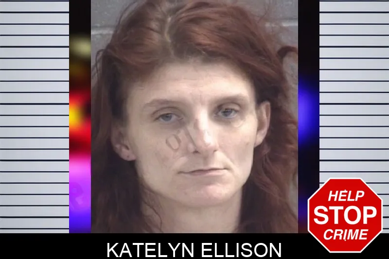 Katelyn Ellison Mugshots