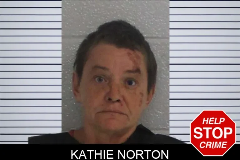 Kathie Norton