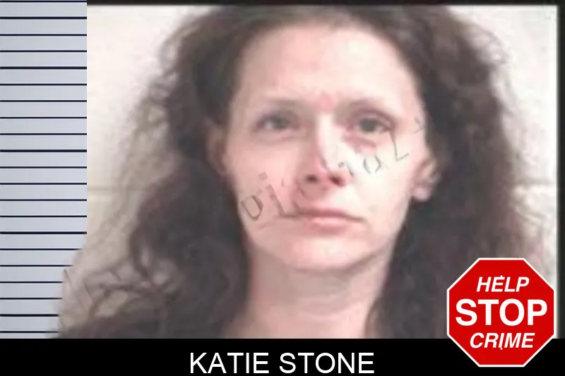 Katie Stone mugshot – Henry County , Georgia Katie Stone mugshot