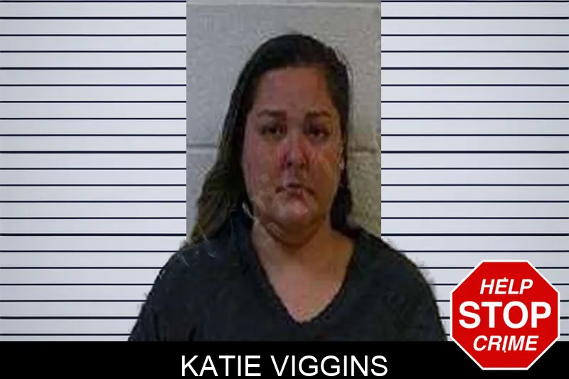 Katie Viggins mugshot – Polk County , Georgia Katie Viggins mugshot
