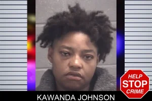 Kawanda Johnson mugshot