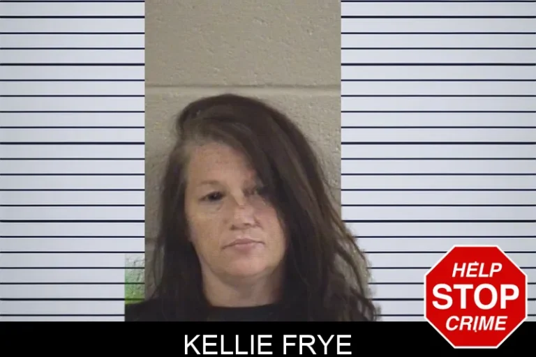 Kellie Frye mugshot – Whitfield County , Georgia Kellie Frye