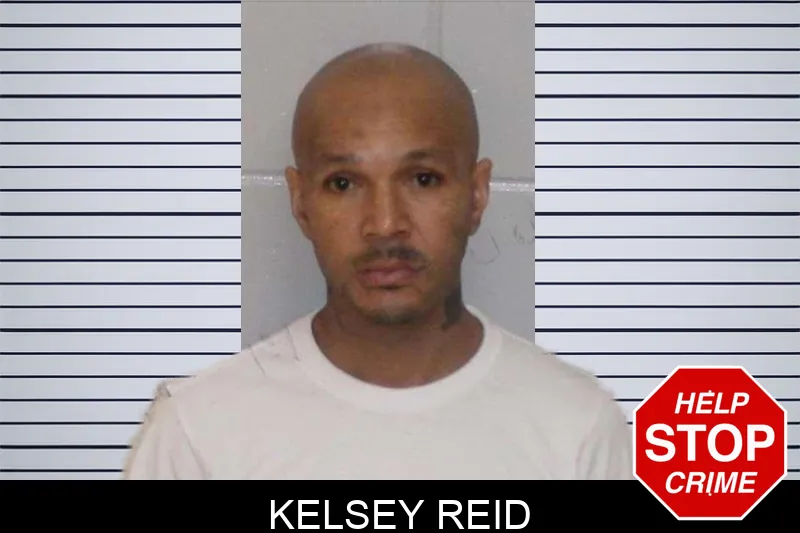 Kelsey Reid Mugshots