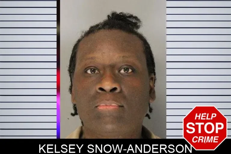 Kelsey Snow-Anderson mugshot – Hall County , Georgia Kelsey Snow-Anderson