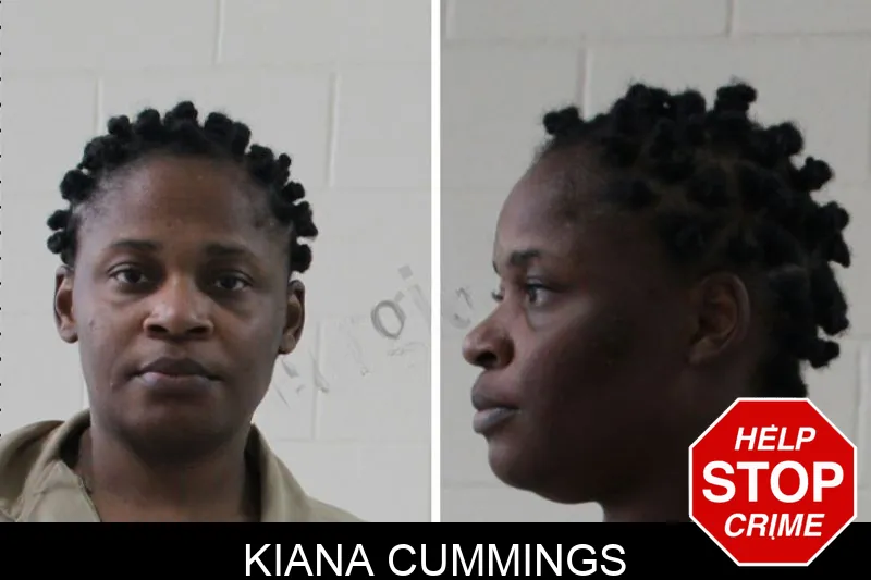 Kiana Cummings mugshot – Houston County , Georgia Kiana Cummings mugshot