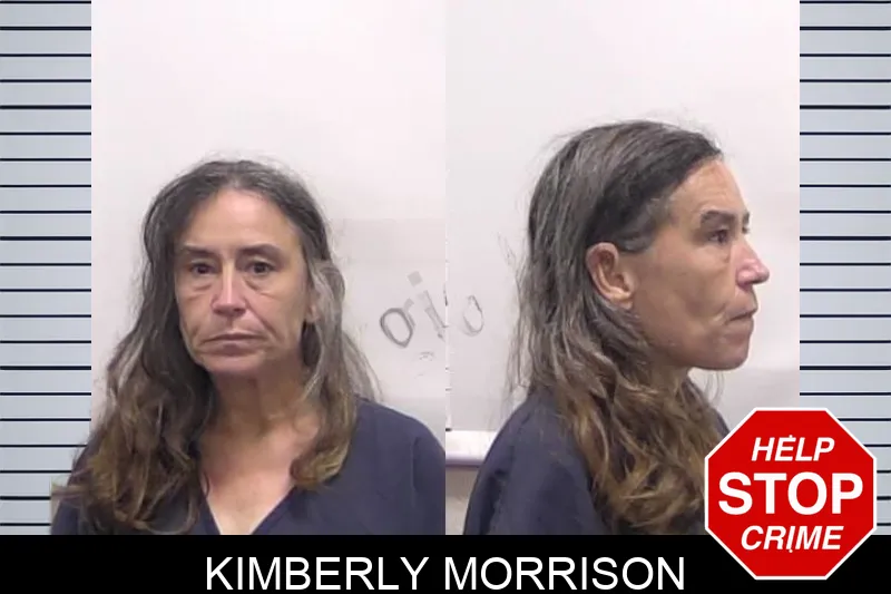 Kimberly Morrison Mugshots