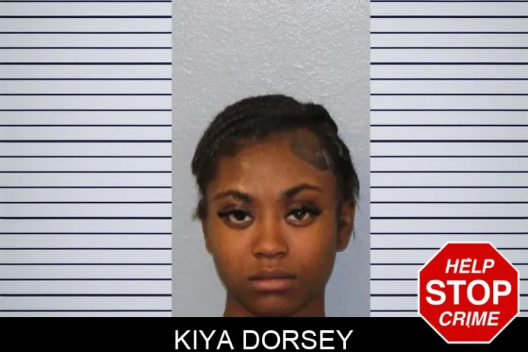 Kiya Dorsey mugshot – Mcintosh County , Georgia Kiya Dorsey