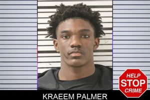 Kraeem Palmer mugshot