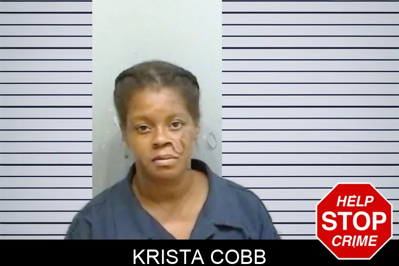 Krista Cobb Mugshots