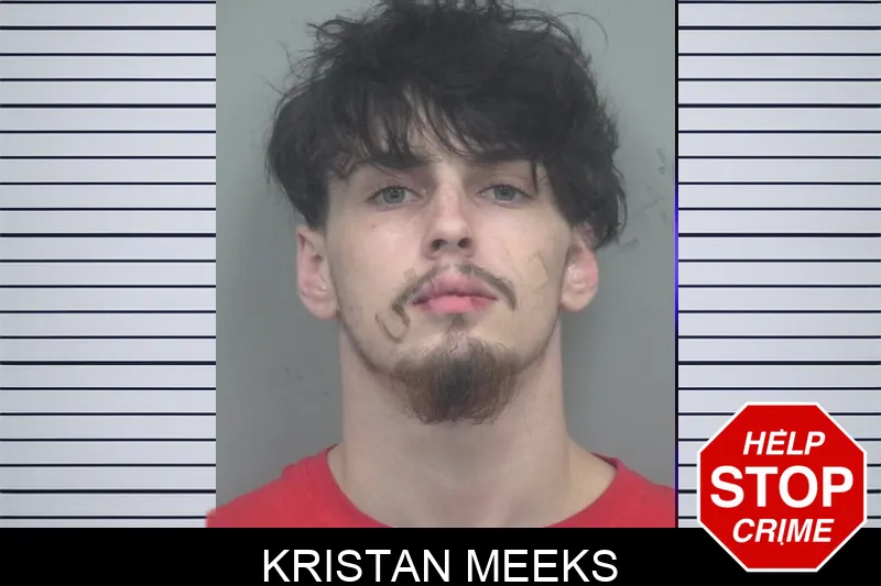 Kristan Meeks mugshot – Gwinnett County , Georgia Kristan Meeks mugshot