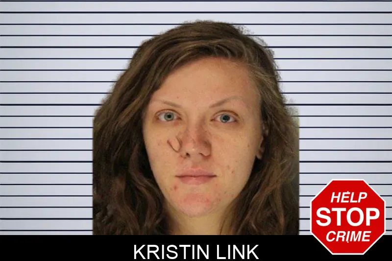 Kristin Link Mugshots