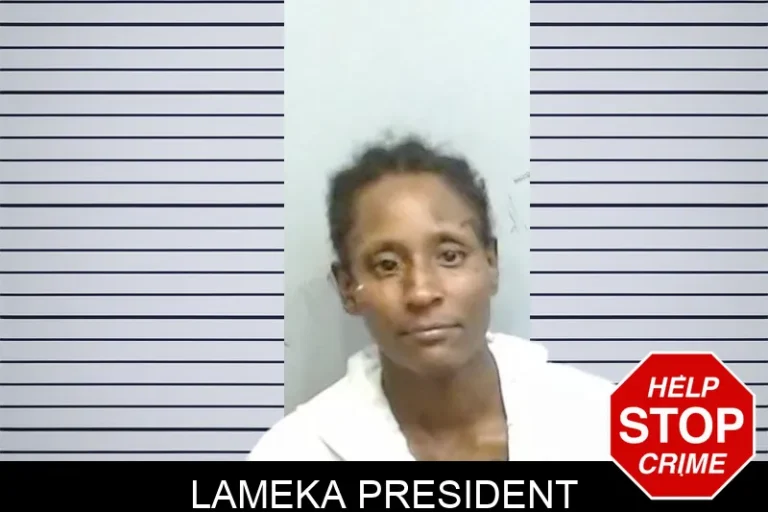 Lameka President
