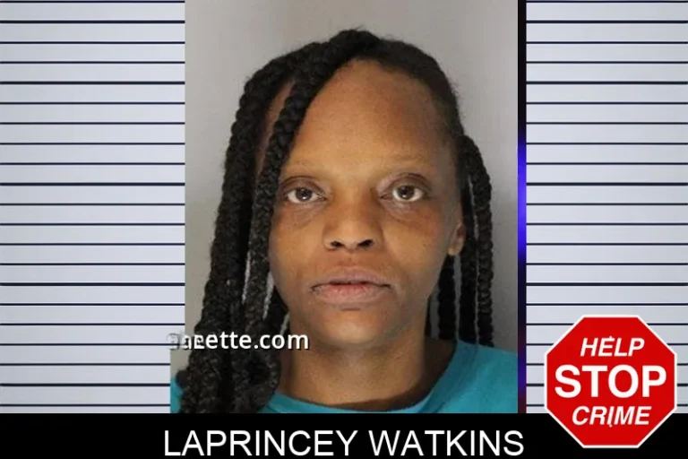 Laprincey Watkins mugshot – Hall County , Georgia Laprincey Watkins