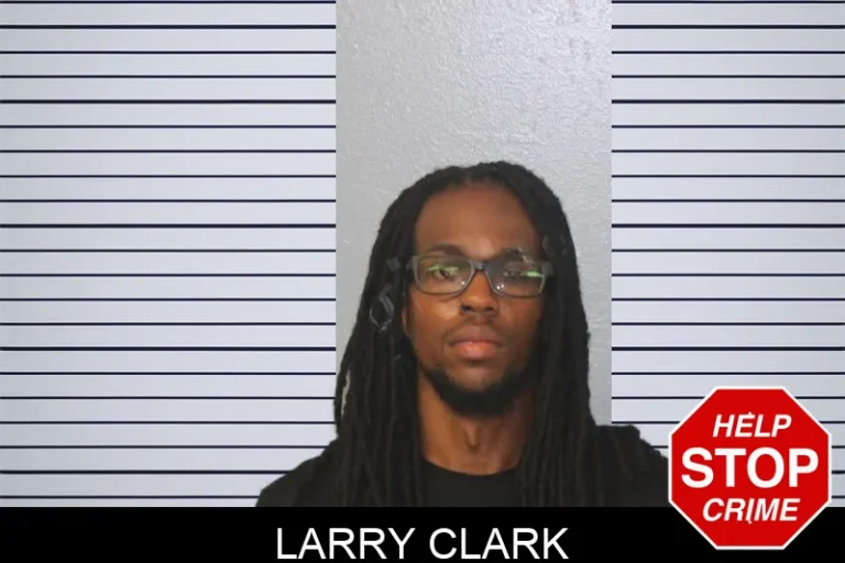 Larry Clark mugshot – Mcintosh County , Georgia Larry Clark