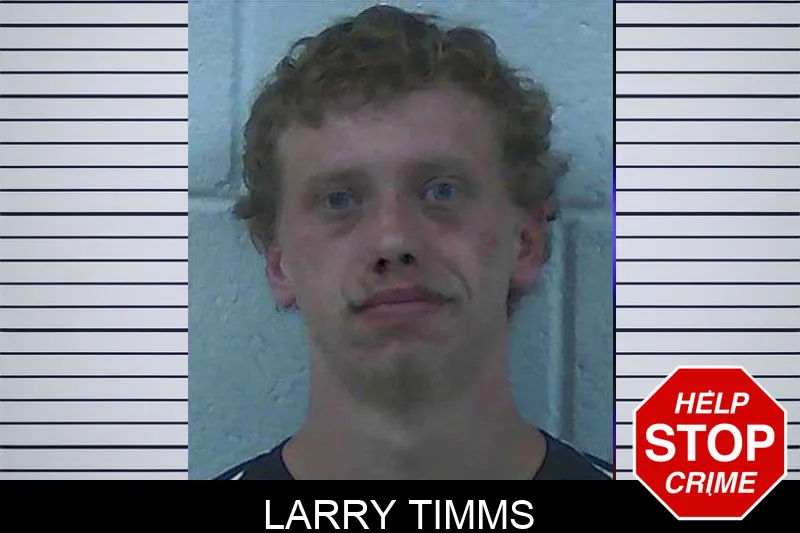 Larry Timms