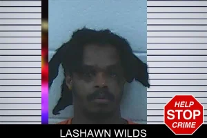 Lashawn Wilds mugshot
