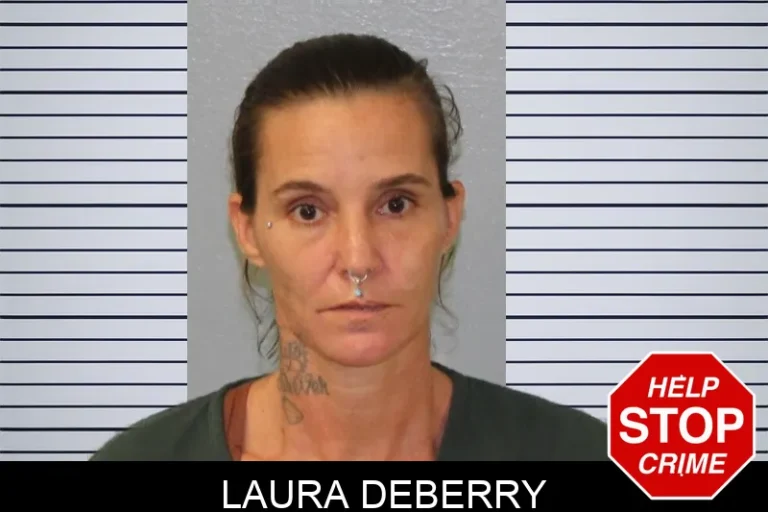 Laura Deberry mugshot – Mcintosh County , Georgia Laura Deberry