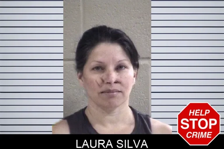 Laura Silva mugshot – Whitfield County , Georgia Laura Silva