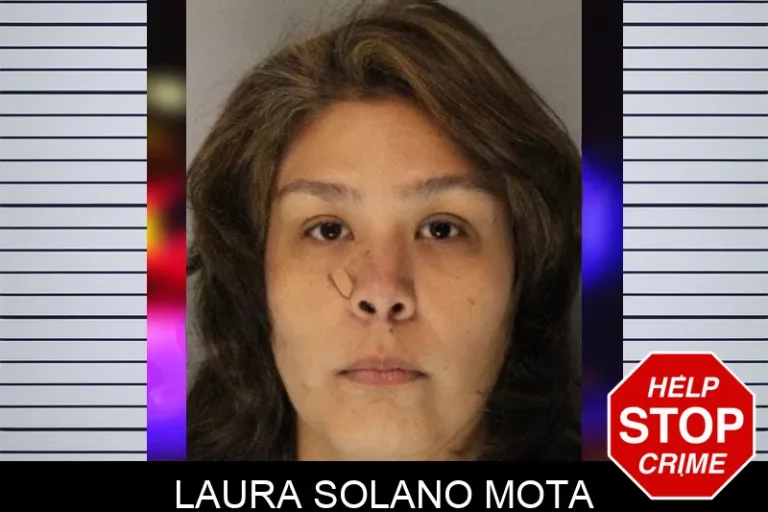 Laura Solano Mota mugshot – Hall County , Georgia Laura Solano Mota