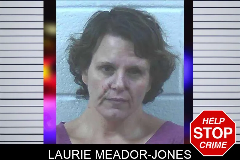 Laurie Meador-Jones Mugshots