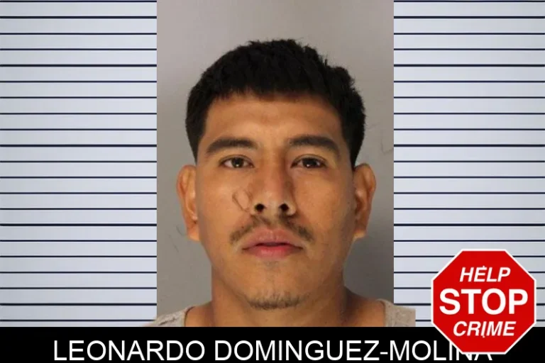 Leonardo Dominguez-Molina