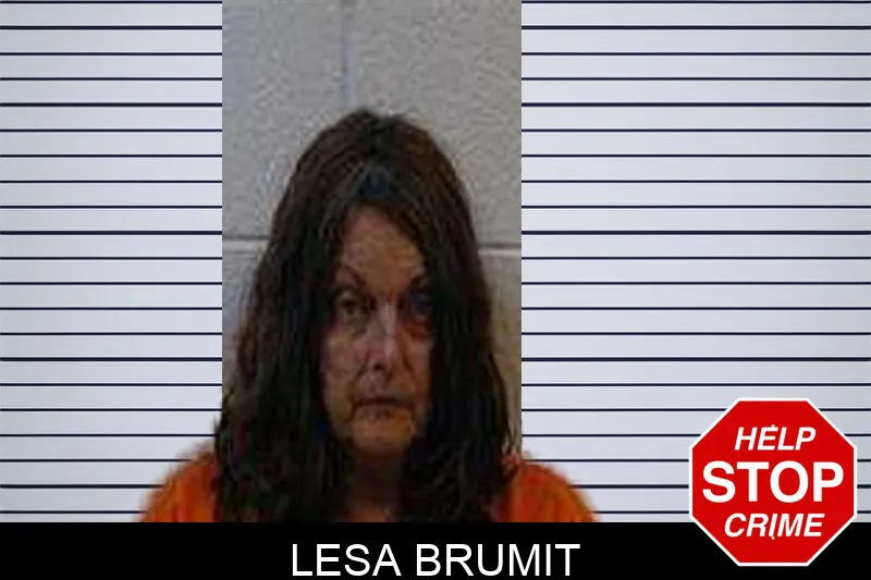 Lesa Brumit