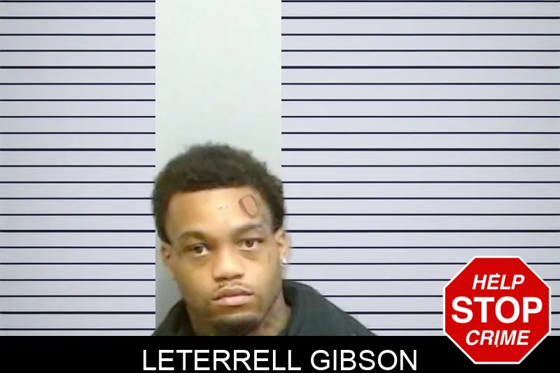 Leterrell Gibson Mugshots