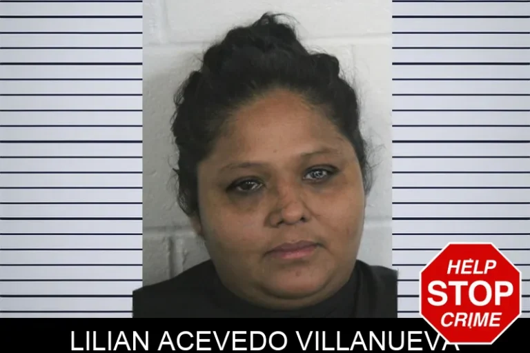 Lilian Acevedo Villanueva