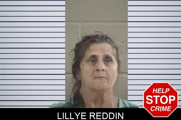 Lillye Reddin mugshot – Whitfield County , Georgia Lillye Reddin