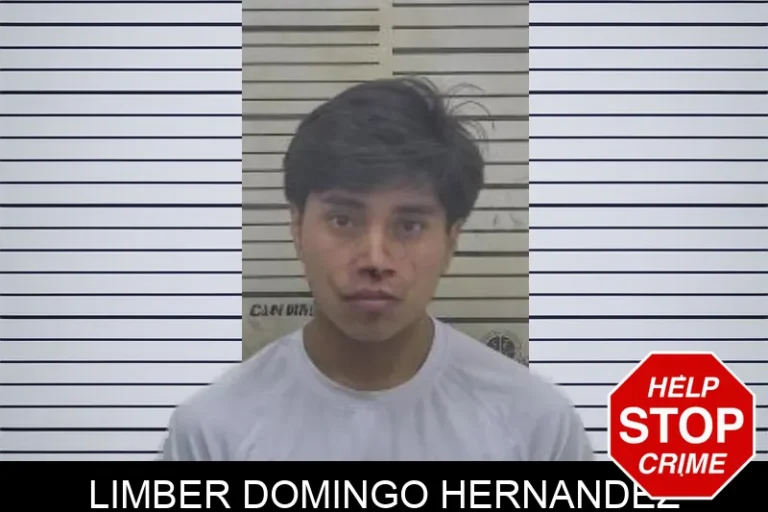 Limber Domingo Hernandez