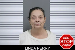 Linda Perry mugshot