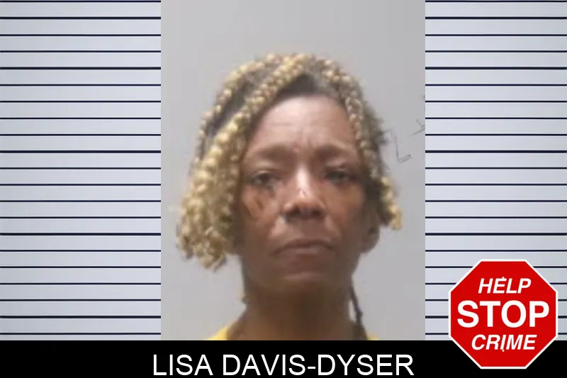 Lisa Davis-Dyser mugshot