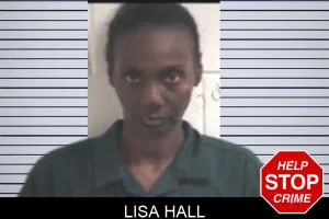 Lisa Hall mugshot