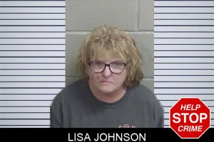 Lisa Johnson mugshot