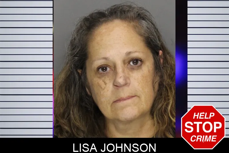Lisa Johnson Mugshots