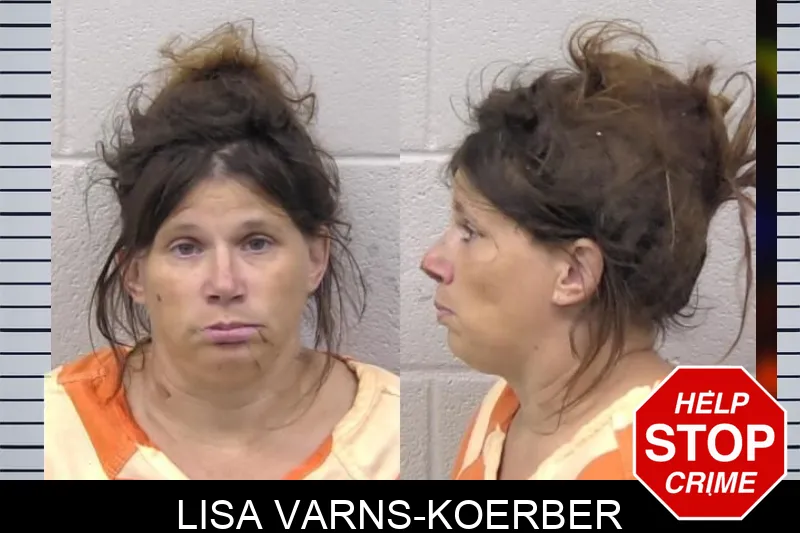 Lisa Varns-Koerber Mugshots