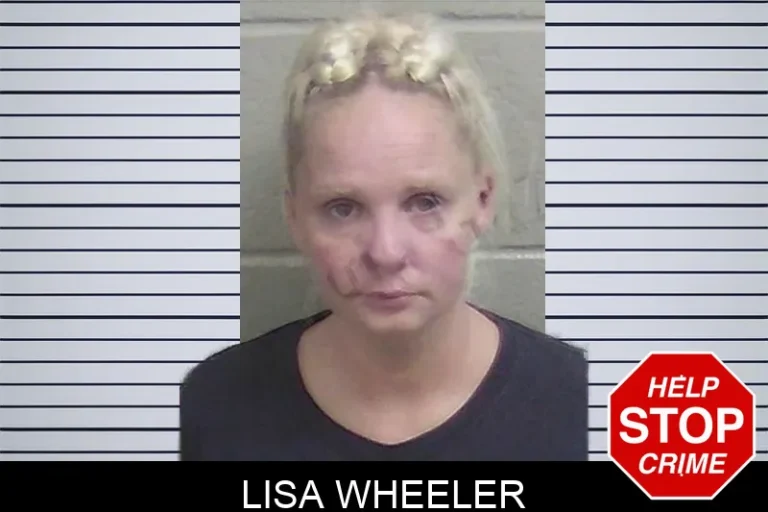 Lisa Wheeler