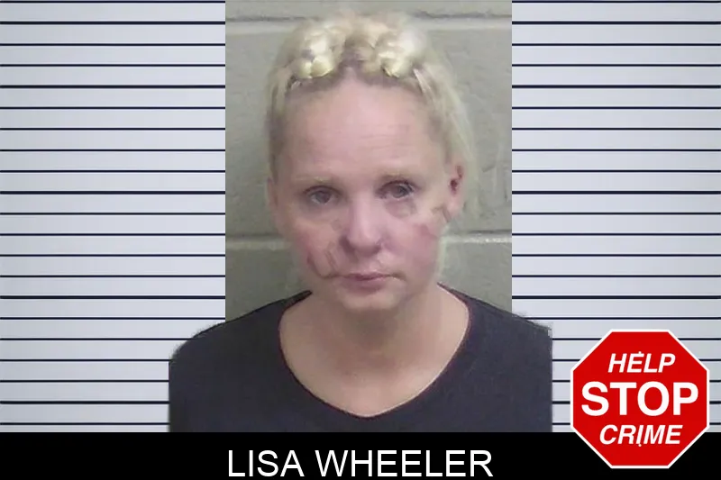 Lisa Wheeler Mugshots