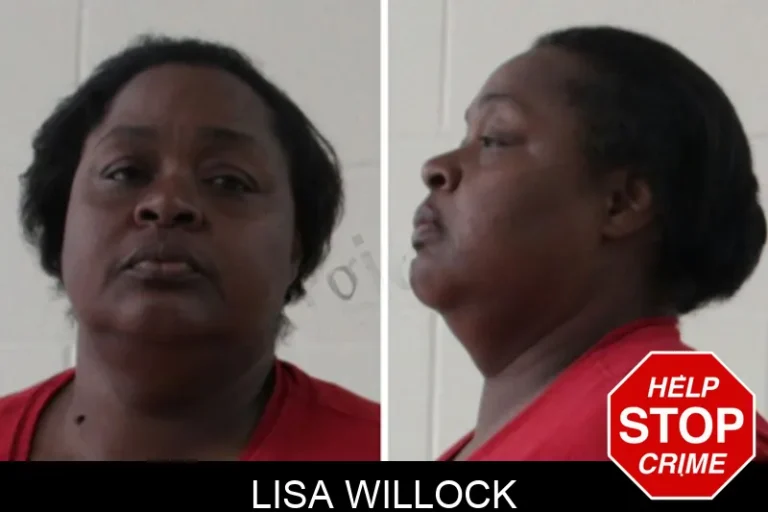 Lisa Willock