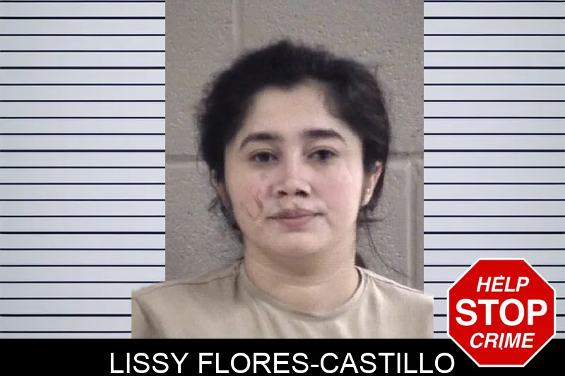 Lissy Flores-Castillo Mugshots