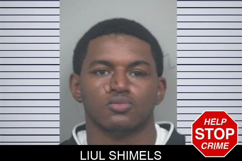 Liul Shimels mugshot – Gwinnett County , Georgia Liul Shimels mugshot